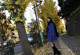 Marina Shiina - Daci Nxx Video P5 No.b5ebb1